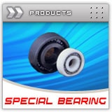 Special Bearing